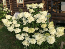 ������ ����� ��������� � ������ - ����� ������. ������ ���� ������� �� ���������� �� ����� ����� � �� ��� ��������� �� ������ �� ������.