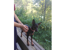 IMG 20170812 110314.jpg