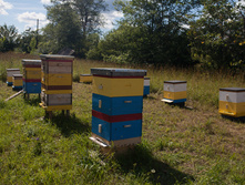 IMG 2832 �����.jpg