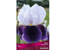 ���� ��������� ���������.jpg