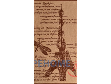 17/112 �� 3502-1939 ��������� 70*130 ����� ��������