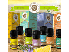 ������� �����