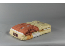 ������ ����������� 140*205 ���. ����1