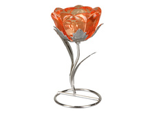 123 ���. - ����������