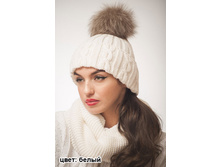 ����� ������ � �������� ����� 900