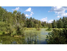 IMG 20170805 140218.jpg