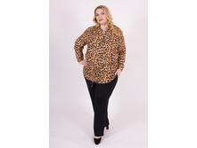 ������ K053.6