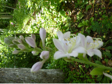 ����������� 078.jpg