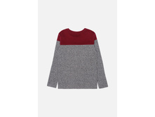 20110100077   Hollyhox        (      ).jpg