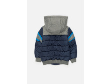 20110130108   Felipe        -     (      ).jpg