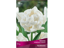 ������� ����������.jpg