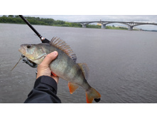 IMG 20170722 120115.jpg