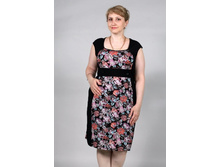 2/13-2150� ������ ������� "���������