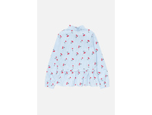 20210260041   Cassandra          (      ).jpg