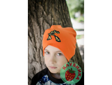 240 ��� �����