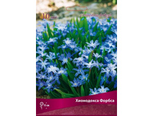 ��������� ������.jpg