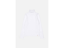 20210320017   Cardinal        (   ).jpg