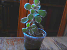 ������ �������������