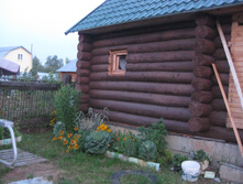 IMG 2625.JPG