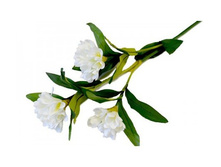 ������ ������������� "������" ������: 7111-��� ������: 92��