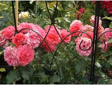 �������� �������