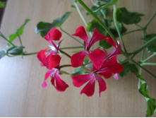 ���������� 002.jpg