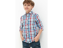 20110280053   Forest   �������.jpg