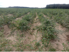 IMG 20170827 133557.jpg