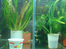 ��.����������� � ������ ���������