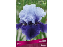 ���� ��������� ������.jpg