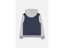 20110130105   Janome        -     (      ).jpg