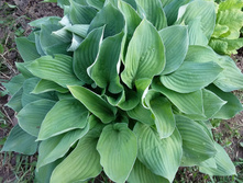 13�-150 ���..jpg