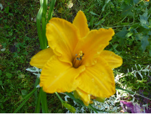 ����������� 100.jpg ��������"����� ����� ��������".