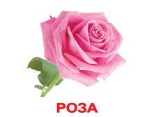 �������� �������� “�����” �������: 0256 - 145 ���.