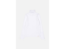 20210320017   Cardinal   �����(���).jpg