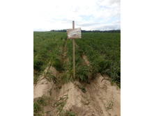 IMG 20170827 133828.jpg