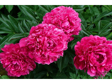 ������+18�