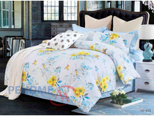 CD213 ��� ���� ����� �����.jpg