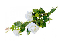 ������ ������������� "����" ������: 7104-��� ������: 100��