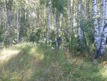 20170819 102942.jpg