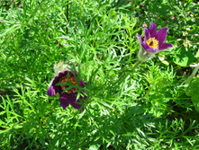 IMG 5400.JPG