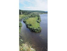 ��� � �����������