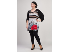 ������ V317.21