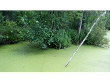 IMG 20170805 141257.jpg