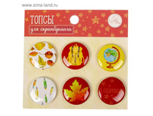 ����� ������ (�����) ��� ������������ "����� - ��� ��������� �����" 35��� �� 5 �������