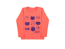 �������� � ������������ �� �������