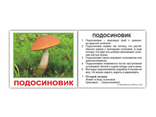 �������� �������� ����-20 "�����" �������: 0959 - 69 ���.