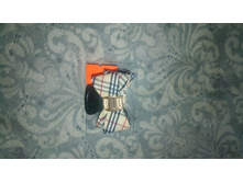 ������ � ������, ���� 40 ���