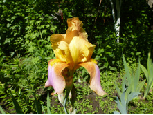 ����������� 049.jpg