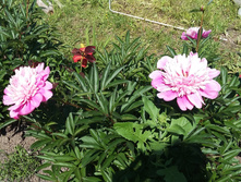 15-100��� ����.jpg